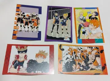 하이큐 엽서 5장 세트 히나타 쇼요 카게야마 토비오 카라스노 고교