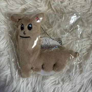 호리나츠의 왕관(가칭) 호리파카 마스코트