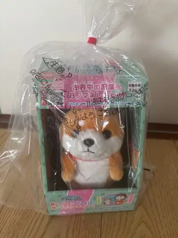 미미클리 반려동물 / 일본견