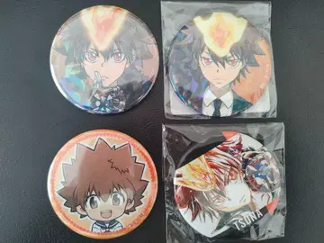 사와다 츠나요시 캔뱃지