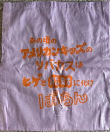 그 시절 아메리칸 키즈의 주근깨는 수염과 지방으로 변해 쨍그랑 토트백