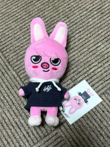 스키즈 돼끼 SKZOO DWAEKKI 봉제 인형 PLUSH SKZ