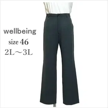 (웰빙) 차콜 그레이 울 혼방 팬츠 월드 46 LL~3L 정도