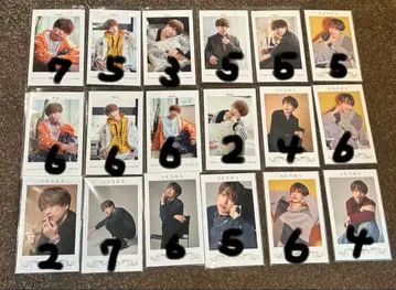 우라시마사카타센 센라 폴라로이드 미니 포토 카드 모음