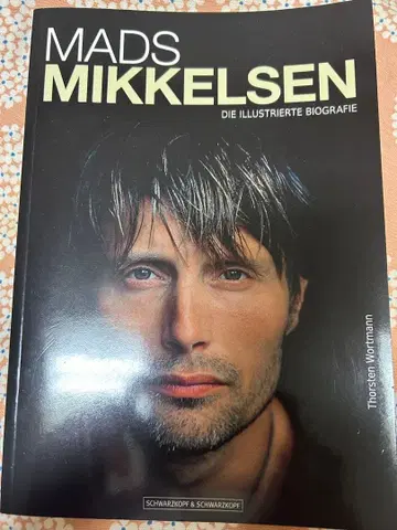 마츠 미켈슨 비주얼 전기