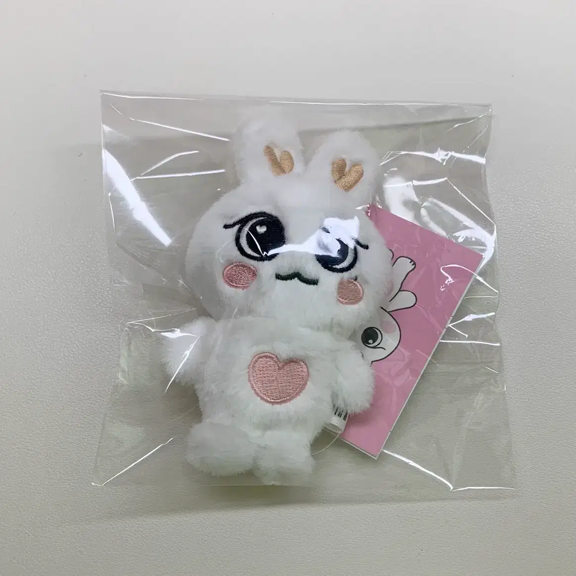 NMIXX | 엔믹스 Nmixx fanmeeting MD micro / 10cm doll Awakened