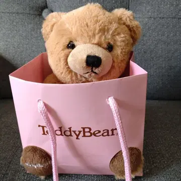 테디베어 봉제 인형과 목걸이