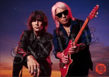 B'z FYOP 회장 한정판 포스터 A 2개