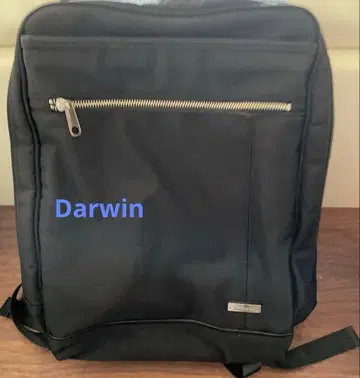 Darwin 블랙 백팩 백팩