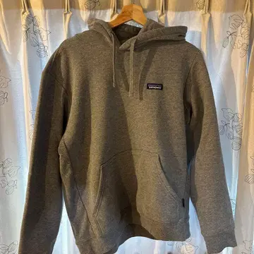 Patagonia 그레이 후디