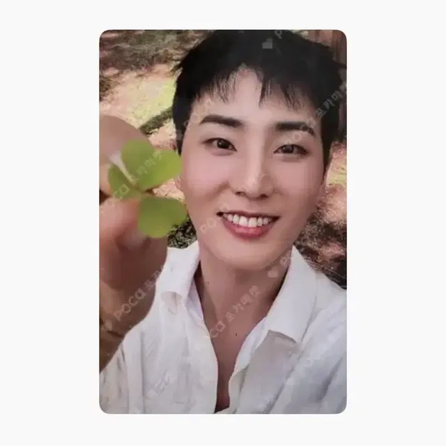 네컷특전 포함) 데이식스 개봉앨범 19장 일괄판매