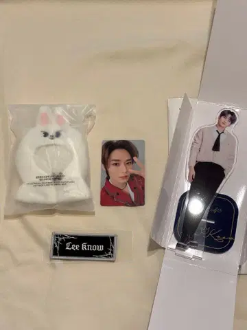 straykids Lee Know 세트