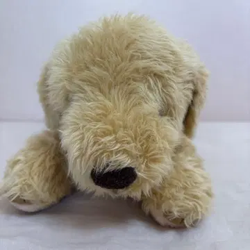 골든 리트리버 봉제 인형