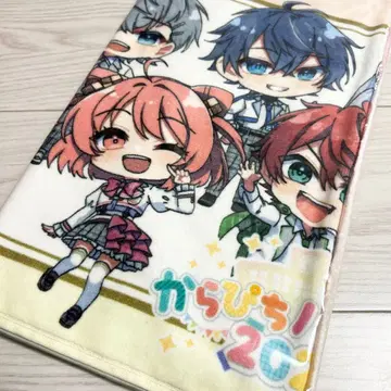 컬러풀 피치 카라피치 파라다이스 2025 페이스 타월