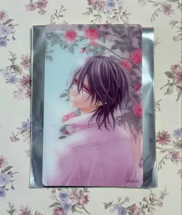 뱀파이어 기사 원화전 클리어 카드 쿠란 카나메