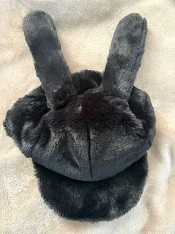 Disney 오즈왈드 팬캡