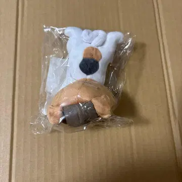 다루누이 하이큐 켄마 고양이 코즈메 켄마 고양이