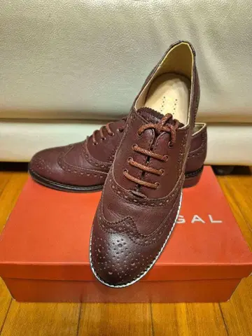 REGAL 여성용 23cm 윙팁 드레스 슈즈 F66G