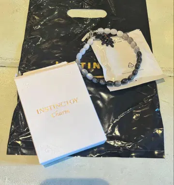 INSTINCTOY Charm Series Blind 핸드폰 스트랩