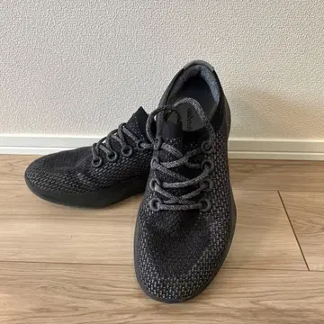 allbirds 스니커즈 트리 대셔