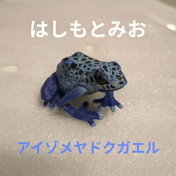 하시모토 미오 아이조메 야독 개구리 [중고]