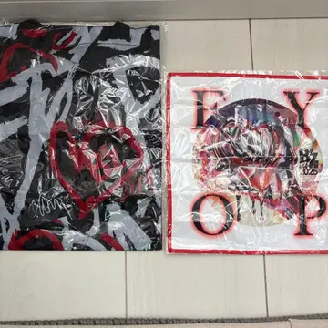 B'z FYOP 미니 토트 & 파이버 타월