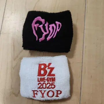 B'z FYOP 리스트 밴드 도쿄돔 12/7 화이트