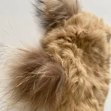 퍼 베이지 모자