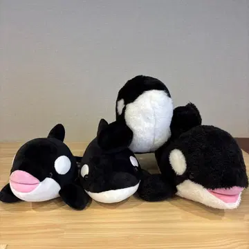 범고래 봉제 인형 4개 세트