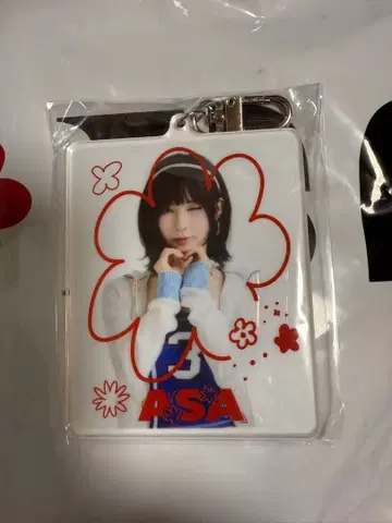 ASA 온라인 복권 B상 빅 사진 참