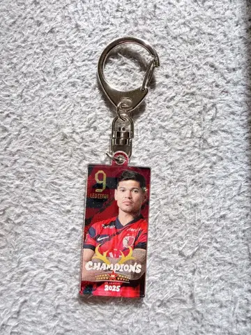 가시마 앤틀러스 우승 기념 굿즈 레오세알라