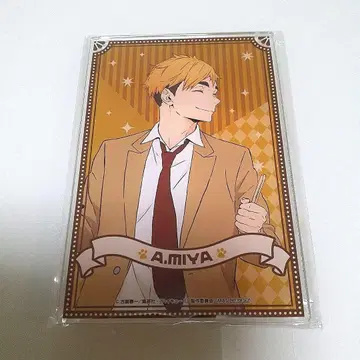 하이큐!! 난자타운 아크릴 보드 미야 아츠무