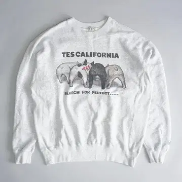 TES 엔드리스 써머 4BUHI 사이드 리브 맨투맨 M