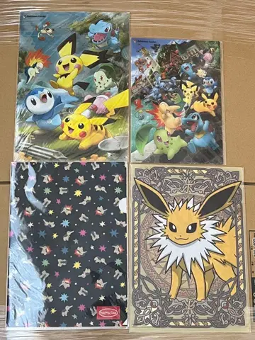 포켓몬 클리어 파일 세트