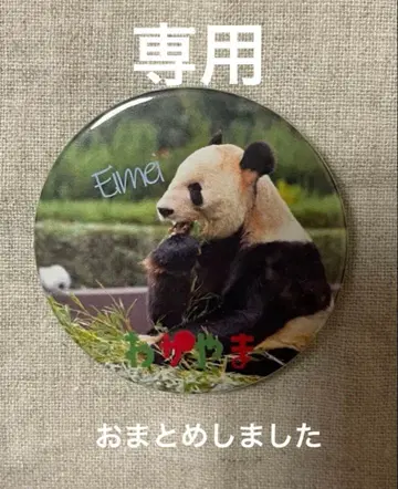 어드벤처 월드 캔뱃지 2세트