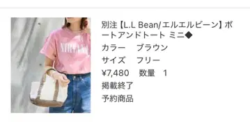 L.L.Bean 보트 앤 토트 미니 브라운 별주