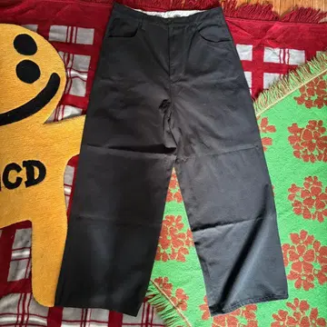 Dickies x FUTURE ARCHIVE / BAGGY PANTS