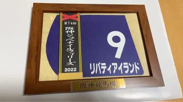 리버티 아일랜드 한신 주버나일 필리즈 우승 리본 부착 미니 기념패