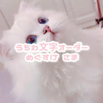 메구스케 님 부채 문자 오더