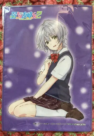 전권 구매 혜택 약캐릭터 친구 만들기군 A4 극세사 타월 키쿠치 후카