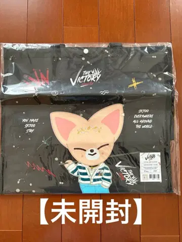 [ 미개봉 ] Stray Kids 아이엔 폭시니 VICTORY 백