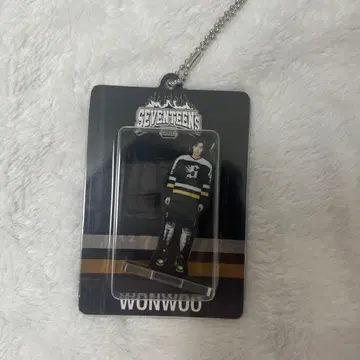 SEVENTEEN WONWOO 아크릴 키링 원우 HOME