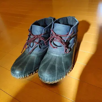 SOREL 샤이안 레이스 풀그레인