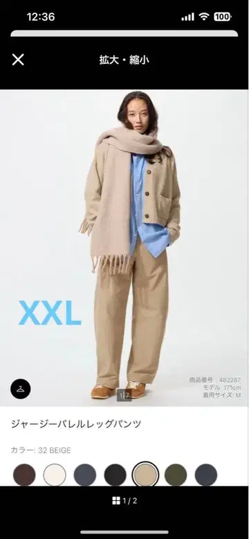 저지 벌레그 팬츠 XXL 베이지