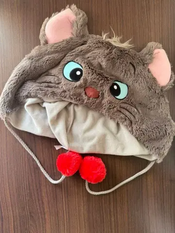 베를리오즈 팬캡