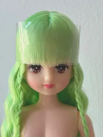 리카짱 캐슬 파렛트f 오타노시미 인형