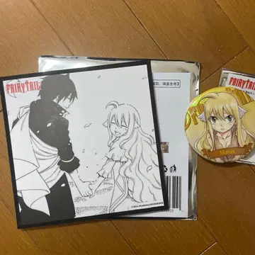 FAIRY TAIL 중국 한정판 원화 트레이딩 캔뱃지 색지