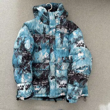 The North Face 그래픽 다운 자켓