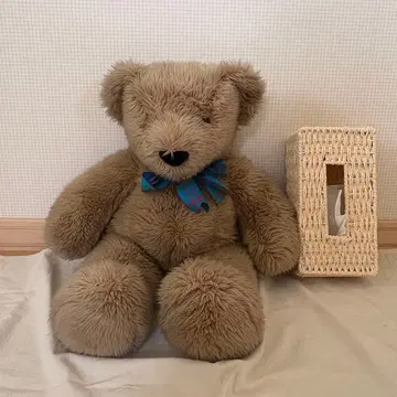 노스 아메리칸 베어 테디베어 North American Bear