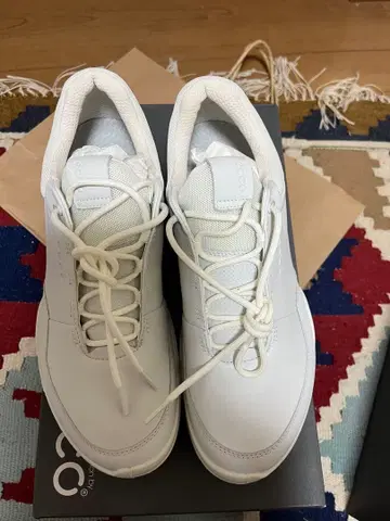 에코 M 골프 바이오 하이브리드 신발